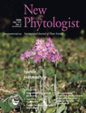 New Phytologist 171 cover