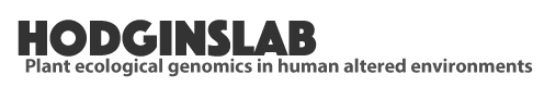 HodginsLab Logo
